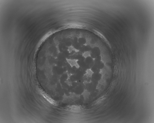 X0000080671027200612221111