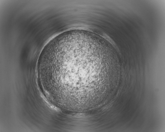 X0000080671028200612221111