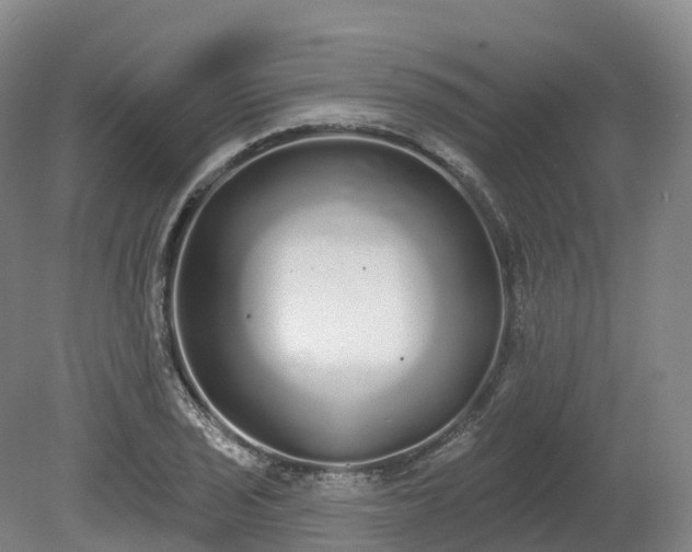 X0000080671029200612221111