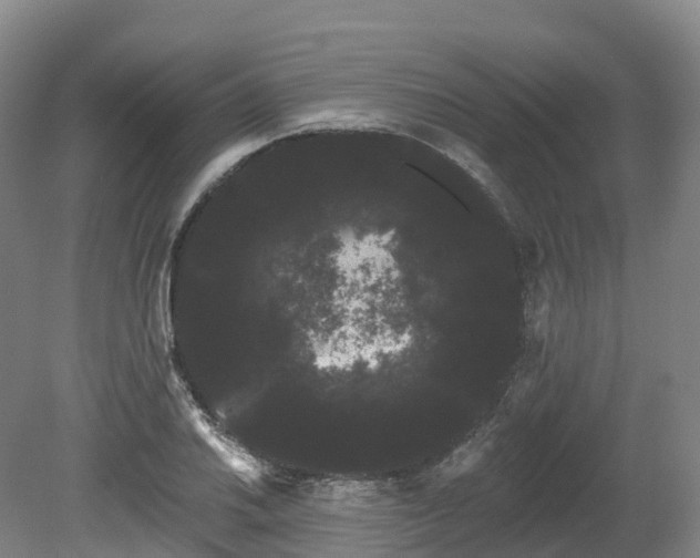 X0000080671030200612221111