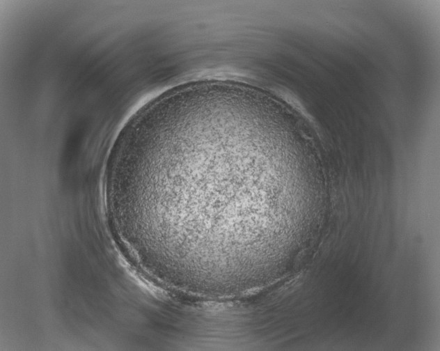 X0000080671032200612221111