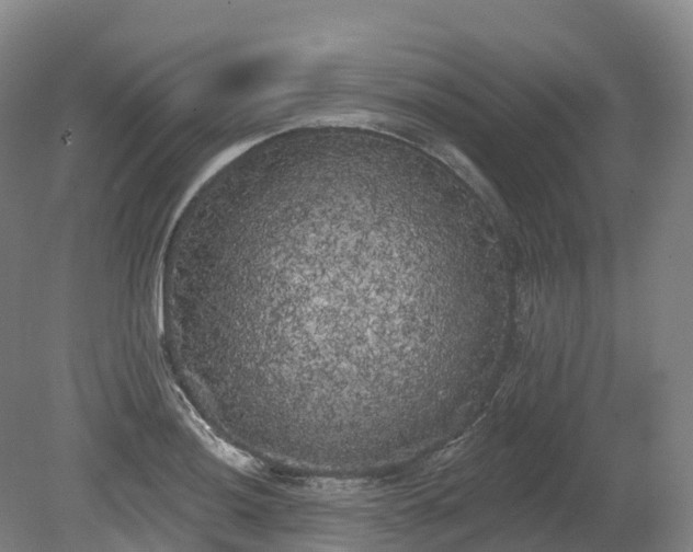 X0000080671036200612221111