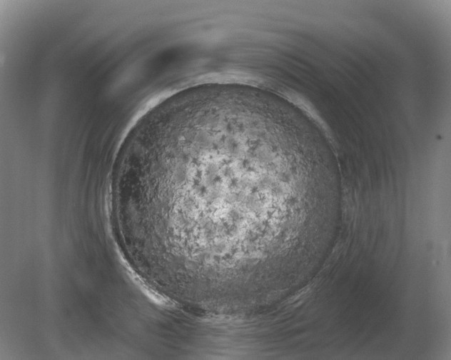 X0000080671040200612221111