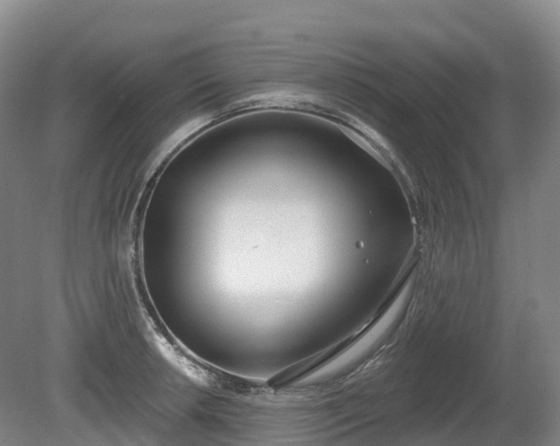 X0000080671042200612221111