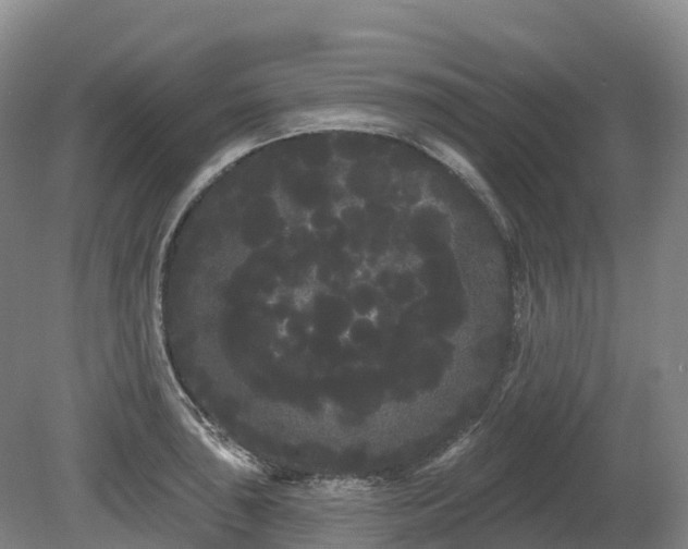 X0000080671043200612221111