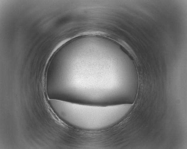 X0000080671044200612221111