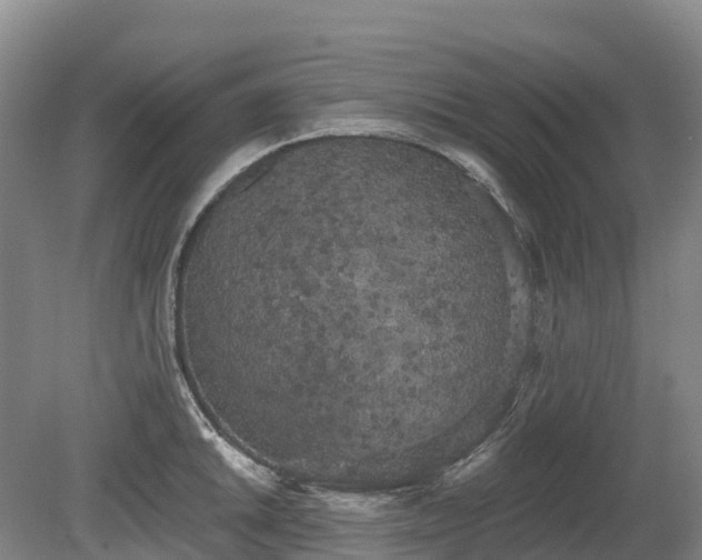 X0000080671046200612221112