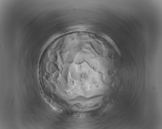 X0000080671051200612221112