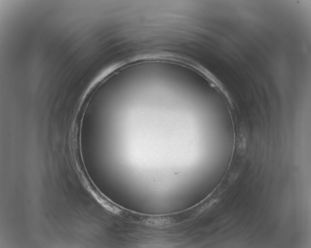 X0000080671053200612221112