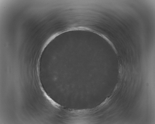 X0000080671054200612221112