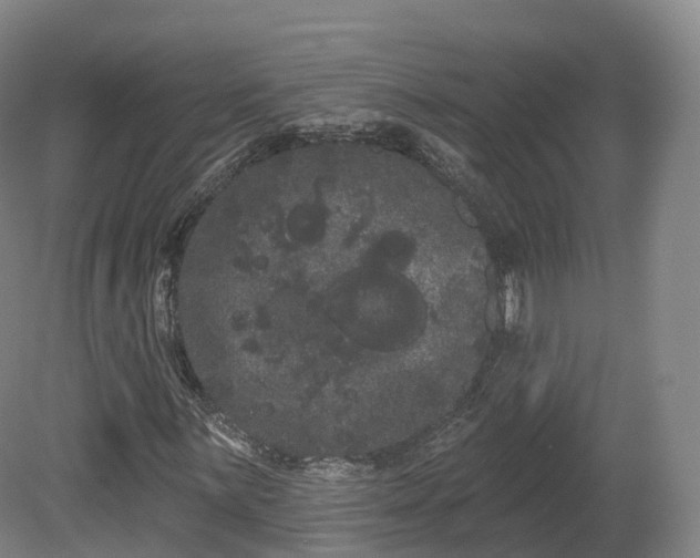 X0000080671059200612221111