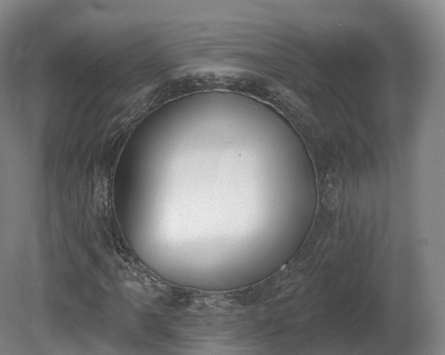 X0000080671061200612221111