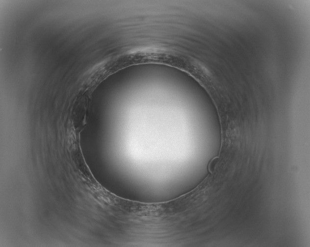X0000080671062200612221111