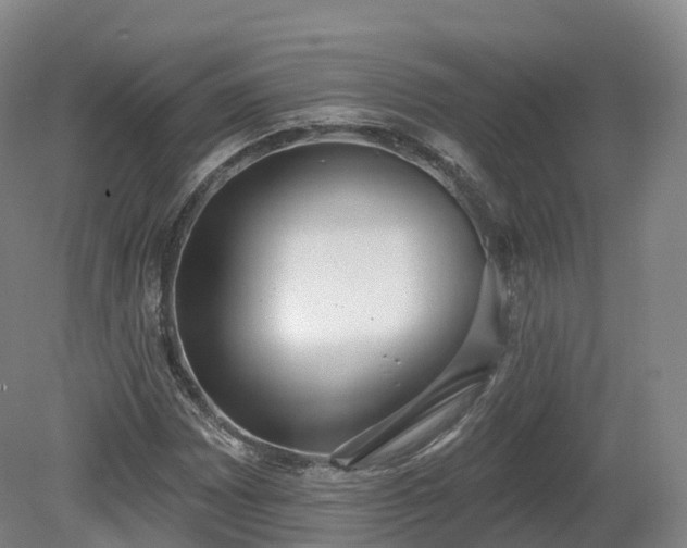 X0000080671065200612221111