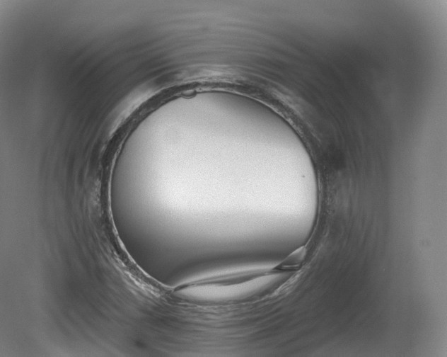 X0000080671066200612221111
