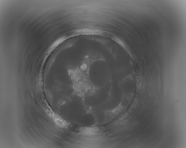 X0000080671074200612221111