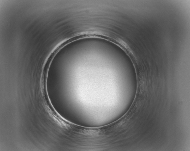 X0000080671076200612221111