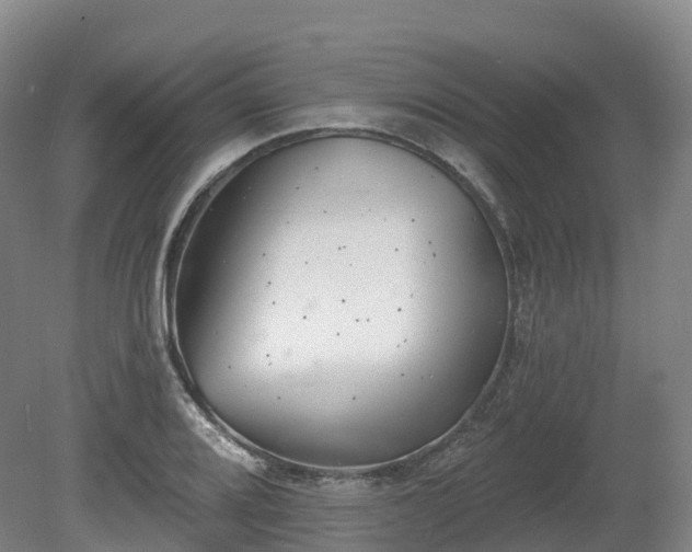 X0000080671080200612221110
