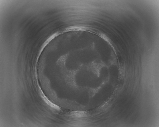 X0000080671090200612221110