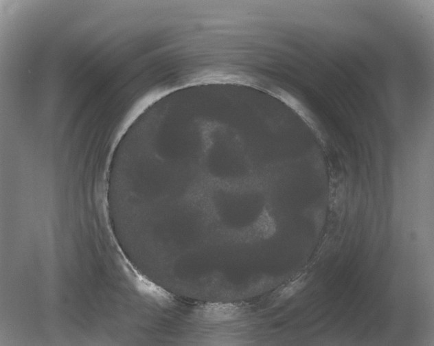 X0000080671094200612221110