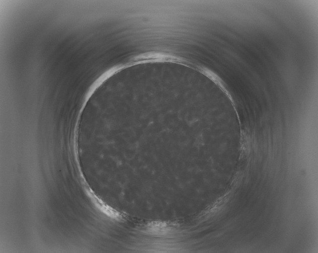 X0000080671098200612221110