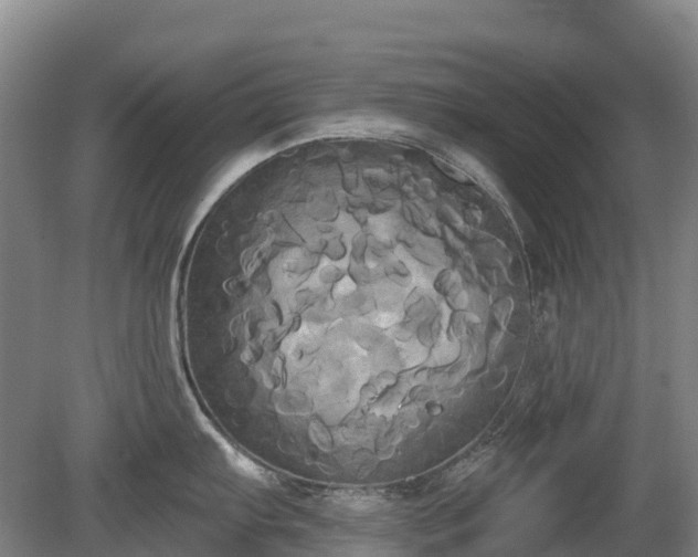X0000080671103200612221110