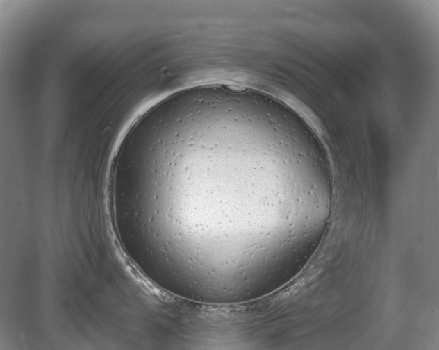 X0000080671104200612221110