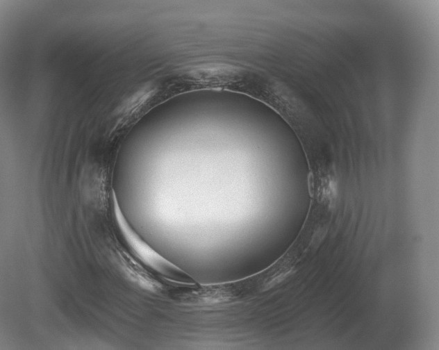 X0000080671108200612221109