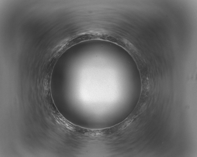 X0000080671110200612221109