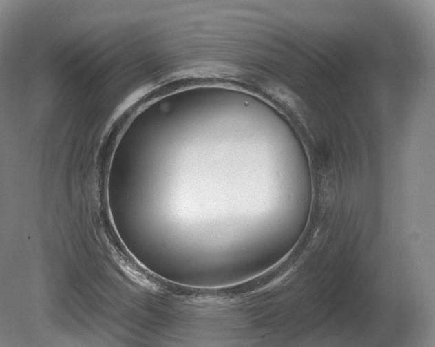 X0000080671114200612221109