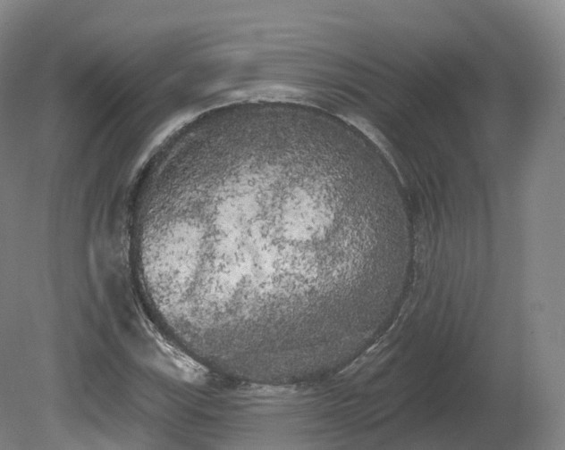 X0000080671115200612221109