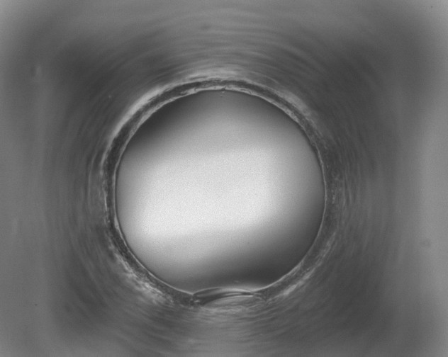 X0000080671118200612221110