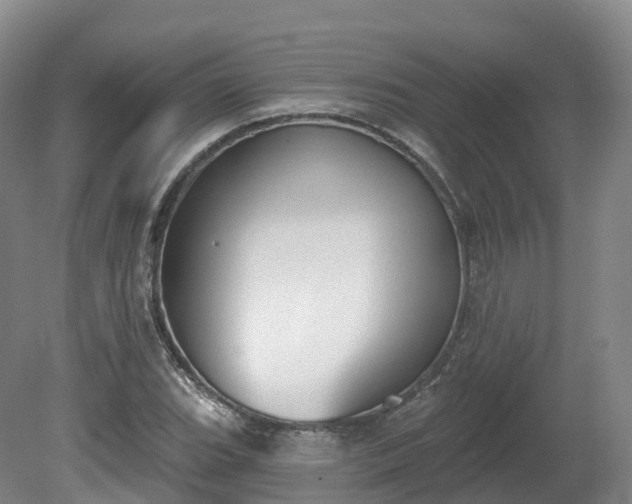 X0000080671119200612221110