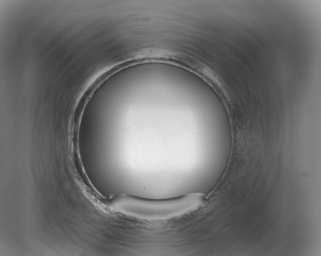 X0000080671124200612221110