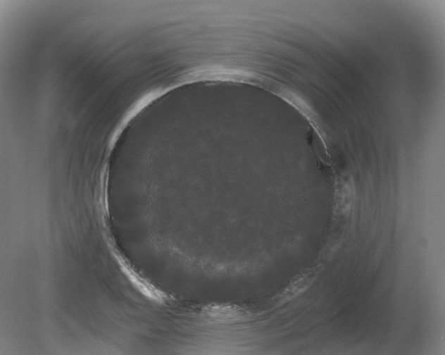X0000080671128200612221110