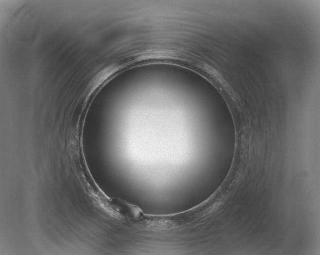 X0000080671129200612221110