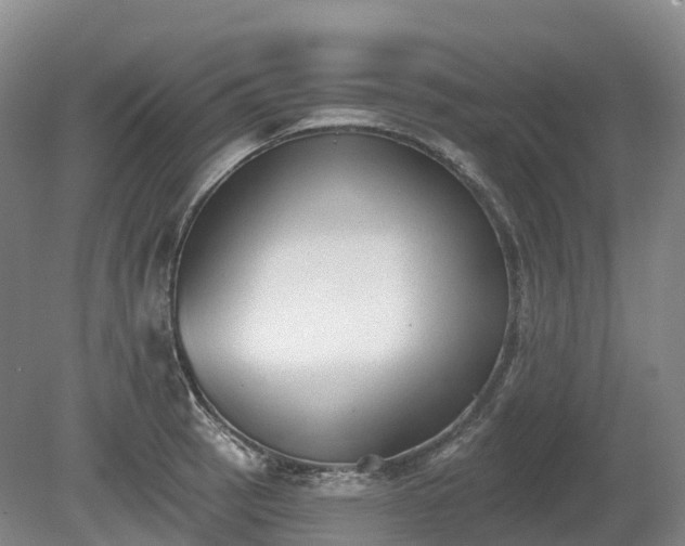 X0000080671137200612221110