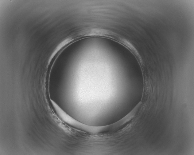 X0000080671138200612221110