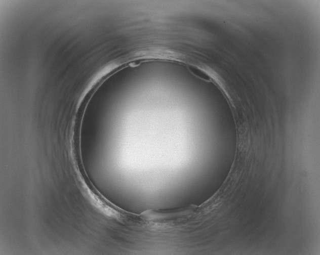 X0000080671139200612221110