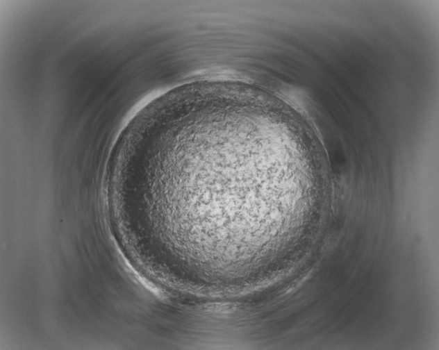 X0000080671141200612221110