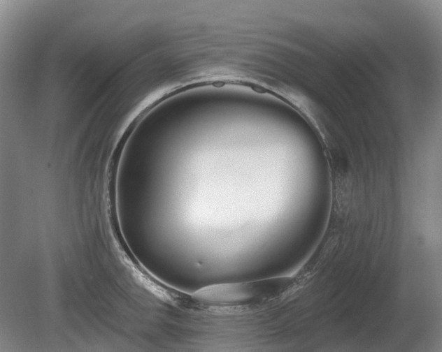 X0000080671142200612221110