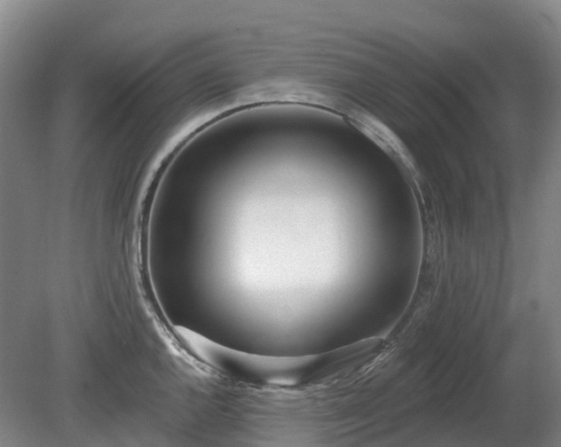 X0000080671144200612221110