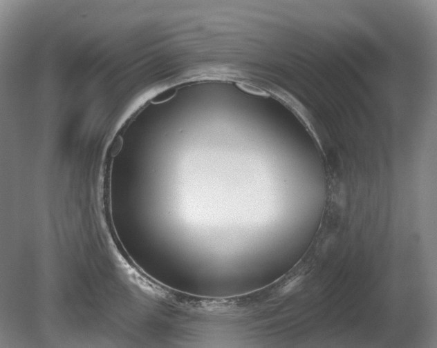 X0000080671147200612221110