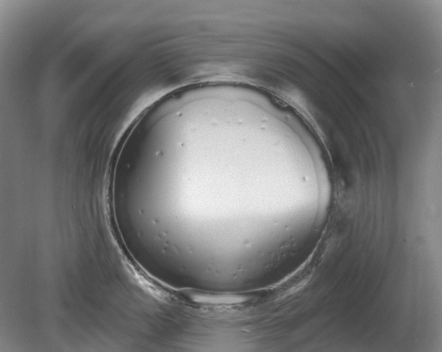 X0000080671149200612221110