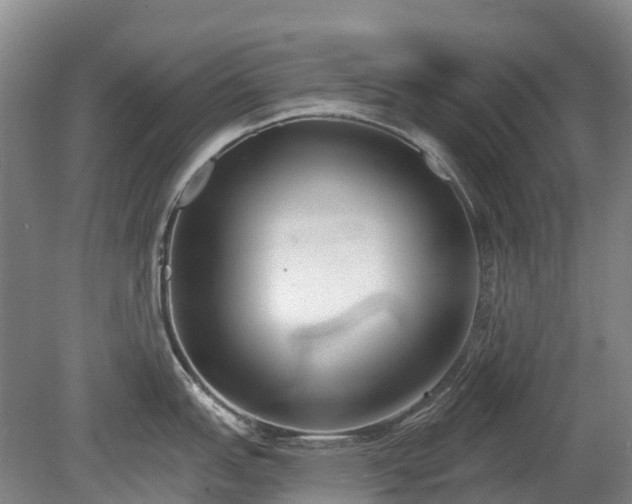X0000080671151200612221110