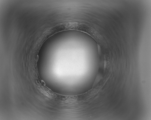 X0000080671153200612221109