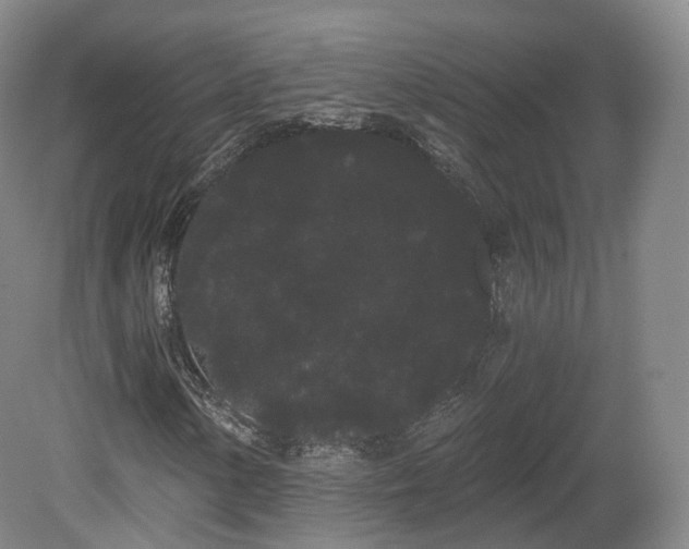 X0000080671154200612221109