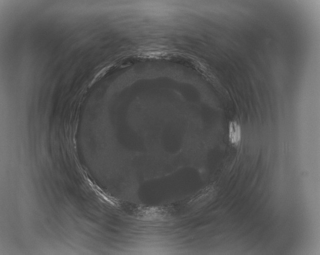 X0000080671155200612221109