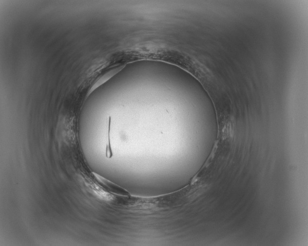 X0000080671156200612221109