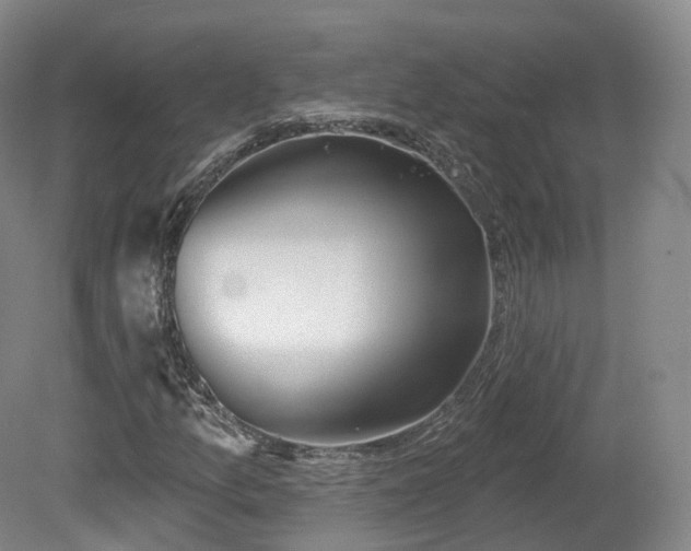 X0000080671157200612221109